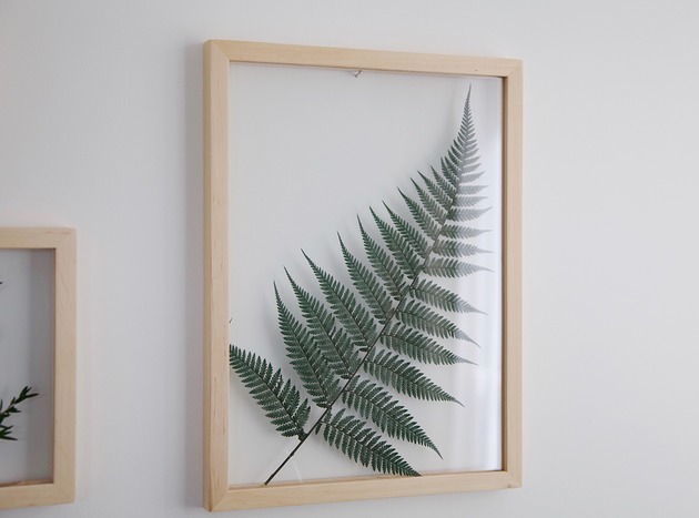 inne Żywy obraz Paproć Brillant L