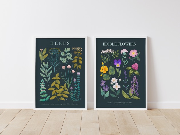 Zestaw "Herbs" i "Edible Flowers" 30x40 cm Studio Stonka