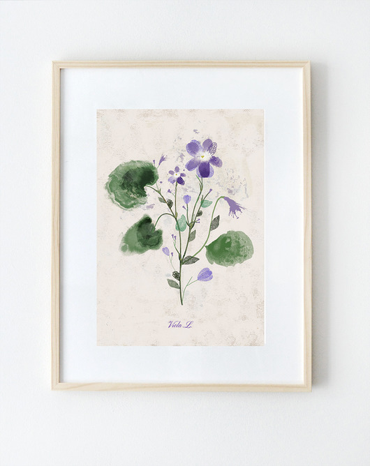Plakat Fiołek A3 Anita Tomala