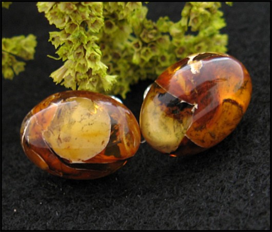 LUXURY- Bursztyny do Ucha XVIII Little Dreamer