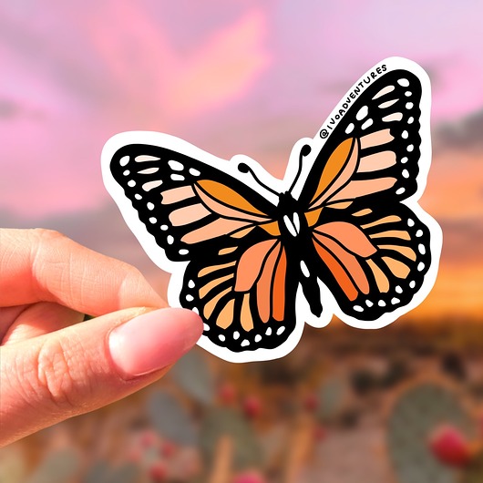 naklejki i wlepy Naklejka - Motyl Pomarańczowy