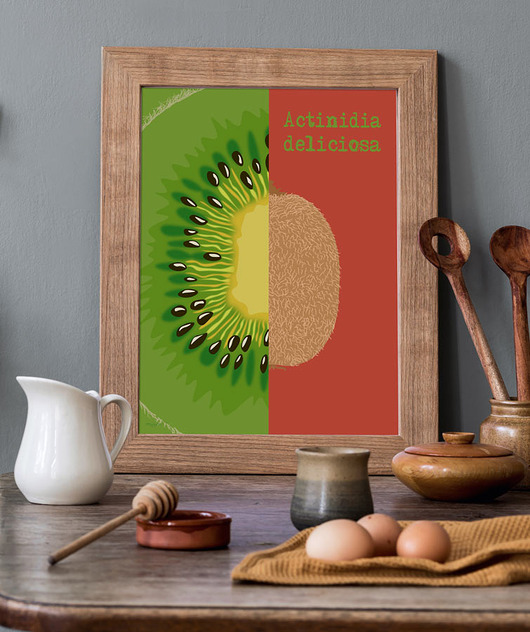 plakaty Kiwi - plakat A3 fine art, giclee