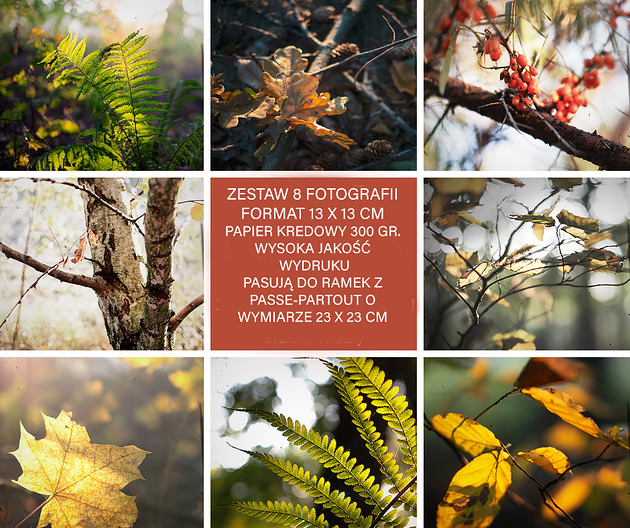 fotografia Zestaw 8 fotografii