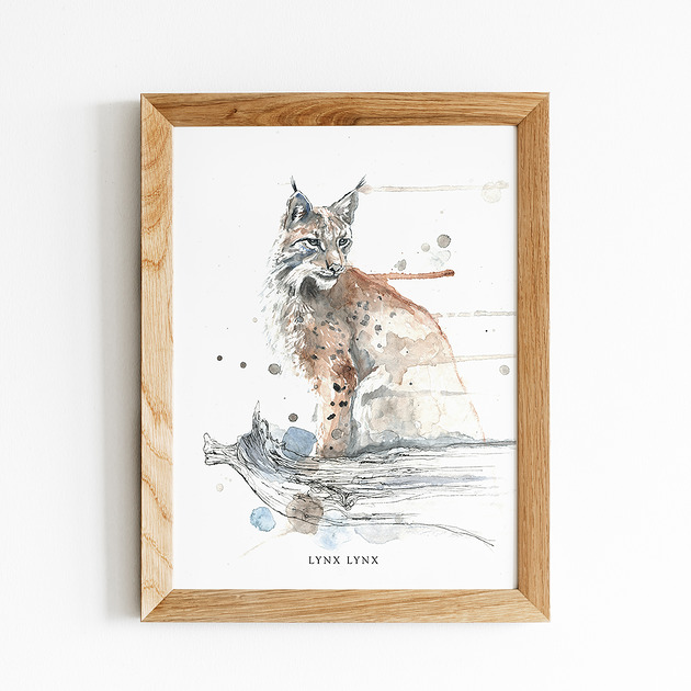 grafiki i ilustracje Ryś 30x40 cm