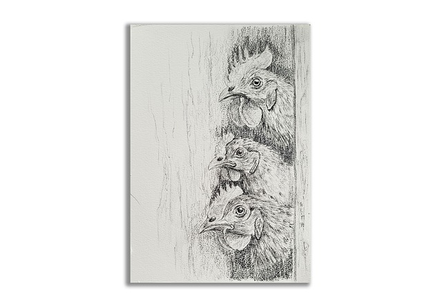 grafiki i ilustracje Grafika ręcznie malowana "Trzy Kurczaki"