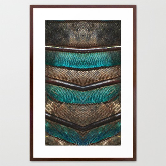 plakat 100x70 PEACOCK FEATHERS 2 ED design for fun
