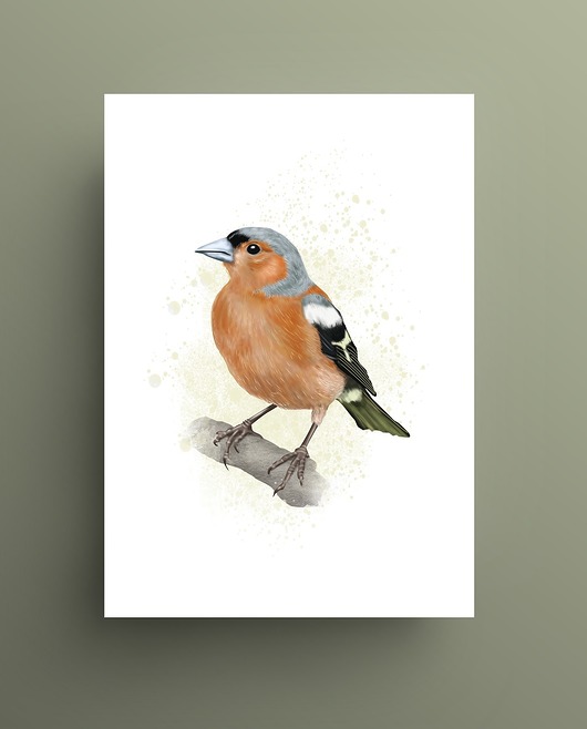 grafiki i ilustracje Zięba