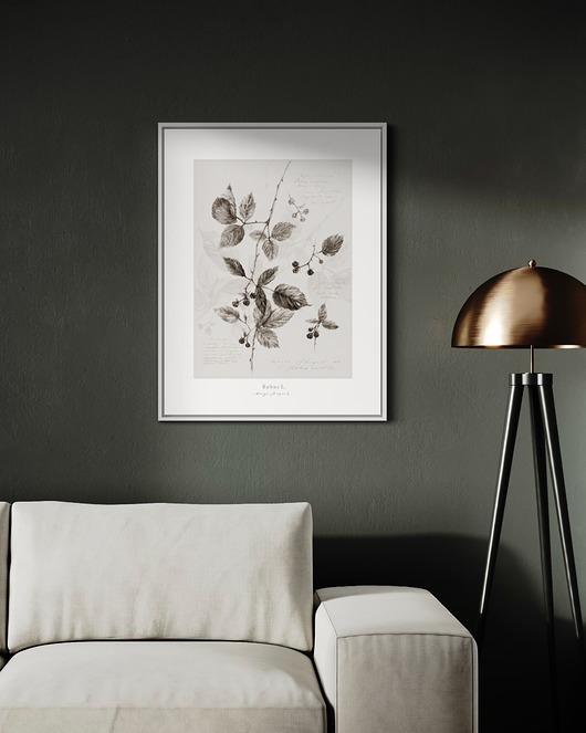 grafiki i ilustracje Plakat Jeżyny - Fine Art Print