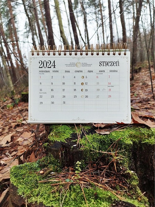 kalendarze i plannery Książkowy kalendarz zbioru ziół 2024