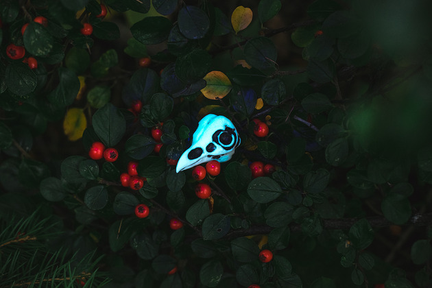 wisiory Wisior Czaszka Ptaka - Tyto Alba Świecąca