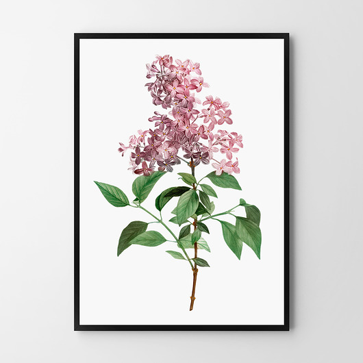 plakaty Plakat Lila vintage