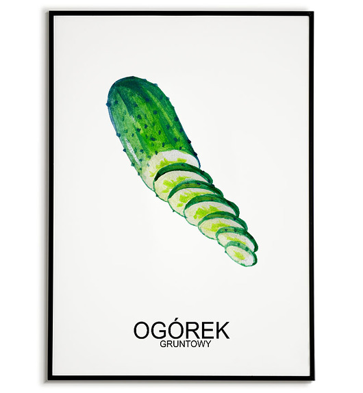 plakaty Plakat  GRAFIKA OGÓREK GRUNTOWY warzywa ZIOŁA