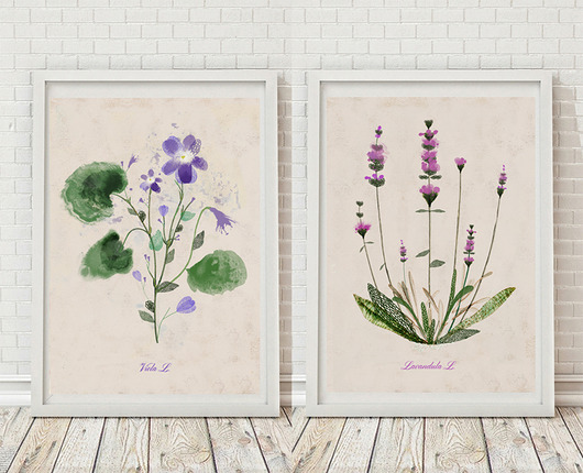 2 ilustracje botaniczne | A3 Anita Tomala