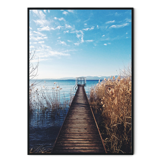 Plakat botaniczny Pomost myscandi