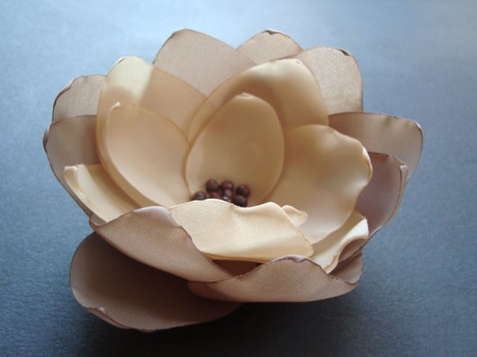Café au lait SundayRose