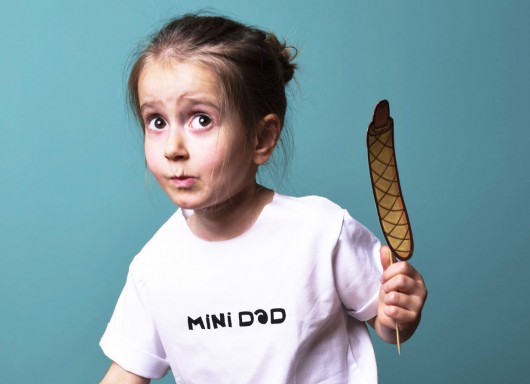 Mini DAD Brain Inside