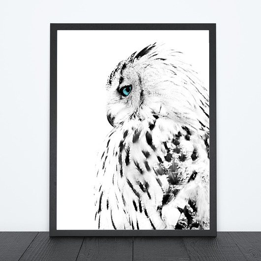 SOWA ŚNIEŻNA OBRAZEK,plakat Dekoracjan