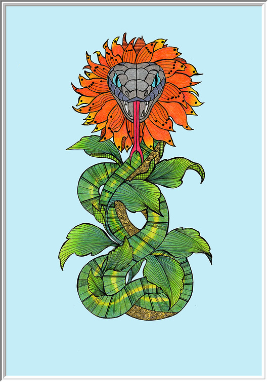 grafiki i ilustracje 75. Osobliwości Botaniczne: Wężymord