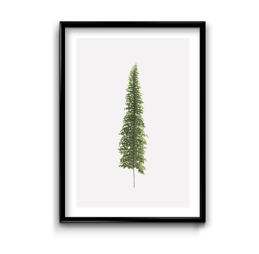 Plakat Naturalny minimalizm #6 Bury Lis