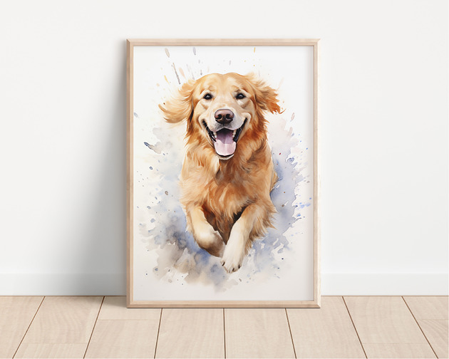 plakaty Plakat golden retriever