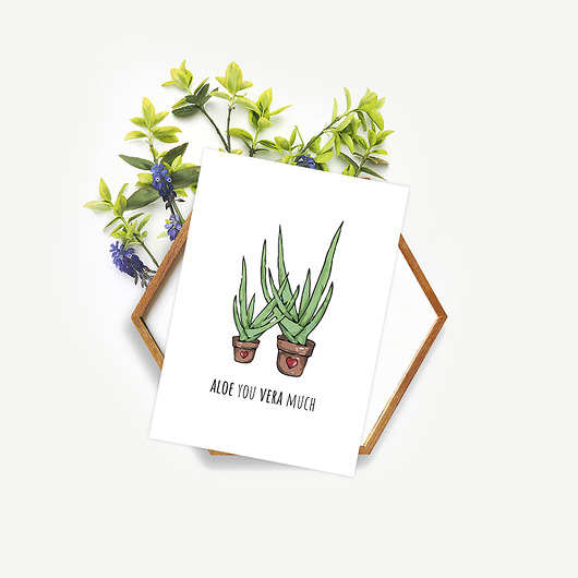 Kartka okolicznościowa "Aloe Vera" Joanna Klupś