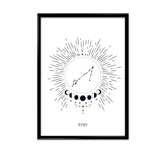 plakaty Plakat Ryby 
