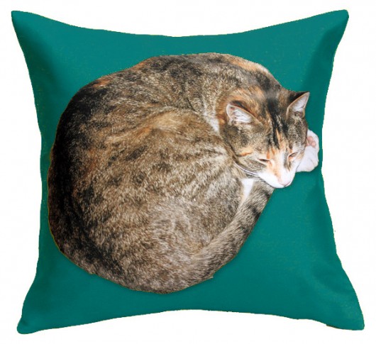kot dla alergika 36cm :) turkus AT design