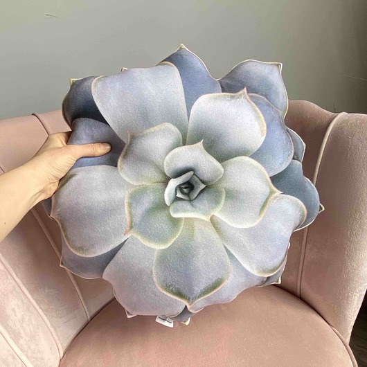 poduszki z grafiką Poduszka Sukulent Echeveria Eszeweria
