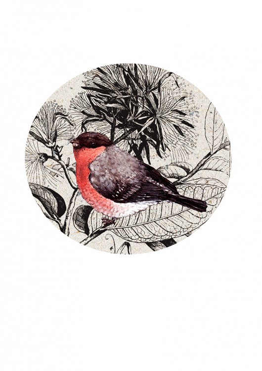 ptaki-vintage-gil BOSKE