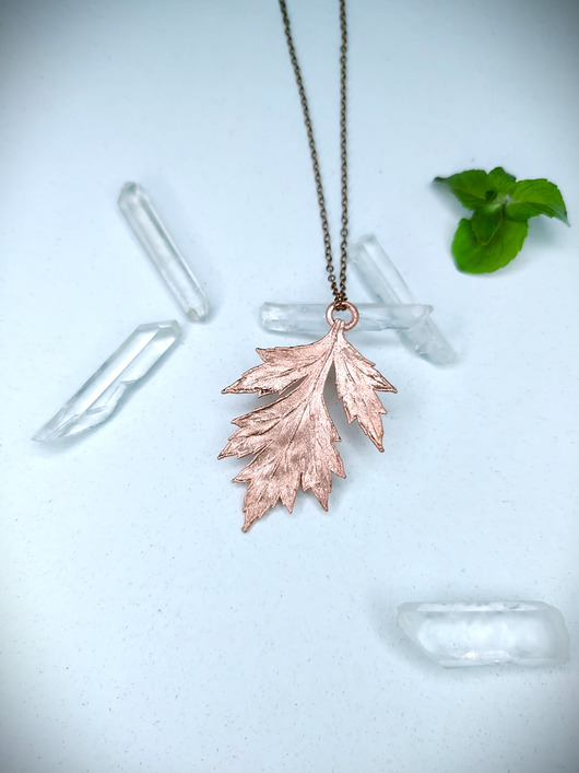 wisiory Bylica pospolita- ochrona