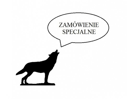 :: zamówienie specjalne :: etui sowa BOHINI