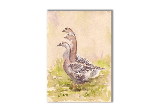 grafiki i ilustracje Gęsi. Akwarela ręcznie malowana