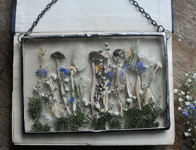 Ozdoby na ścianę Grzyby i Mech