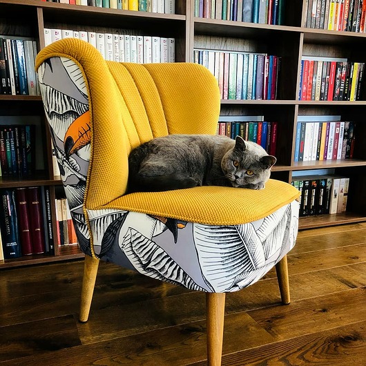 fotele Fotel klubowy koktajlowy lata 60 70 PRL