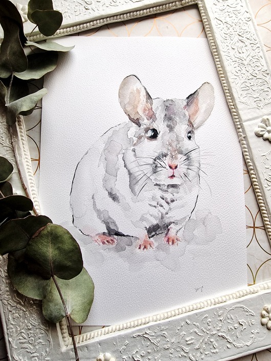 obrazy Akwarela szynszyl