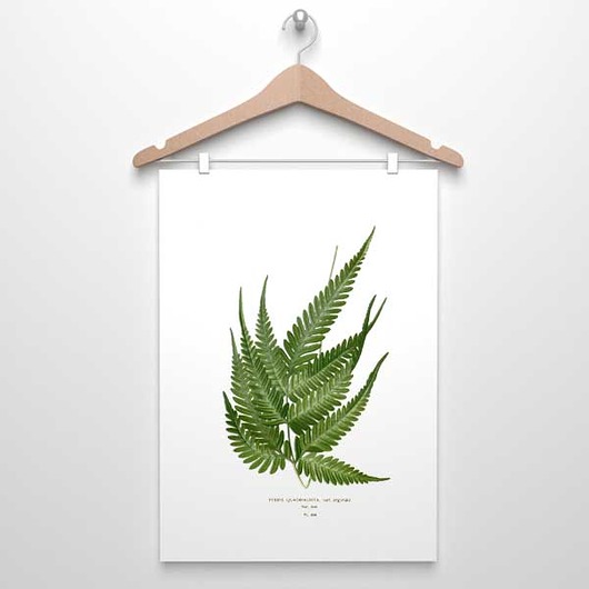 plakaty PAPROTKA paproć plakat  A4, A3, 30x40