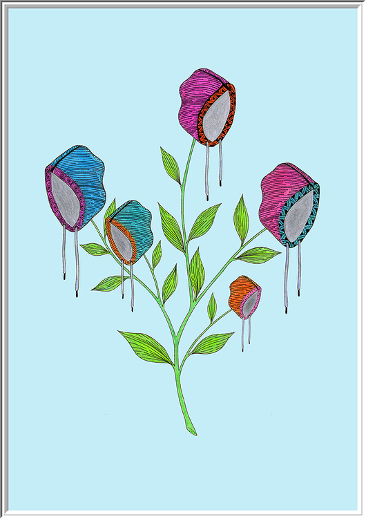 grafiki i ilustracje 78. Osobliwości Botaniczne: Kapturnica