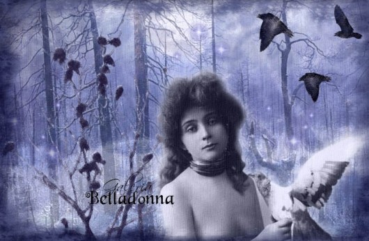 leśna wróżka Galeria Belladonna