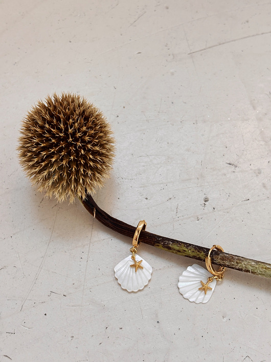 kolczyki z mosiądzu Kolczyki muszla z gwiazdką