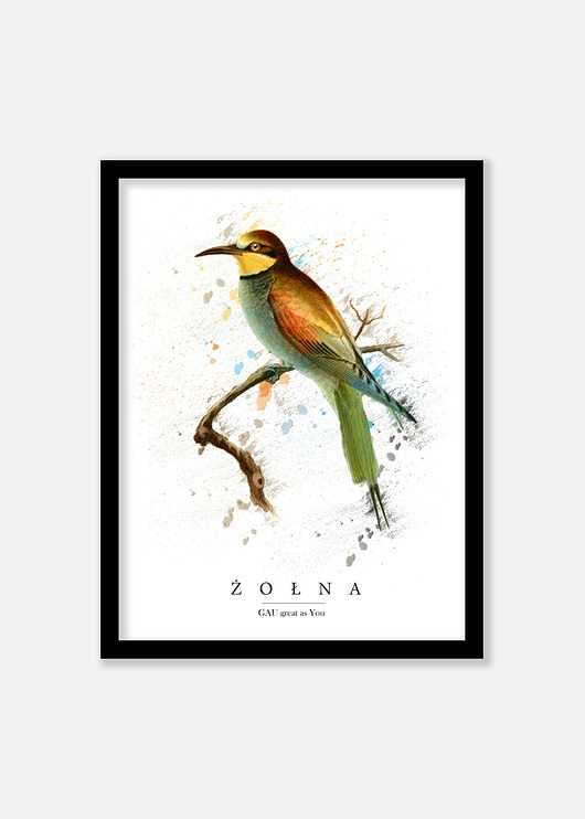 Żołna Plakat GAU Home