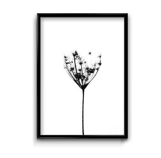 Plakat Nature  Bury Lis
