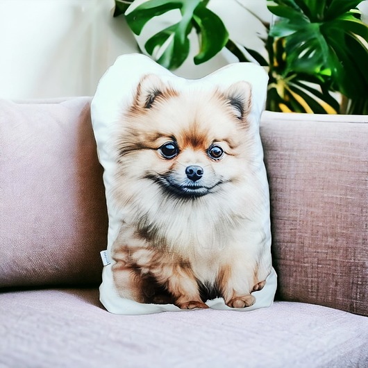 poduszki z grafiką Poduszka piesek przytulanka z pieskiem pomeranian pies szpic