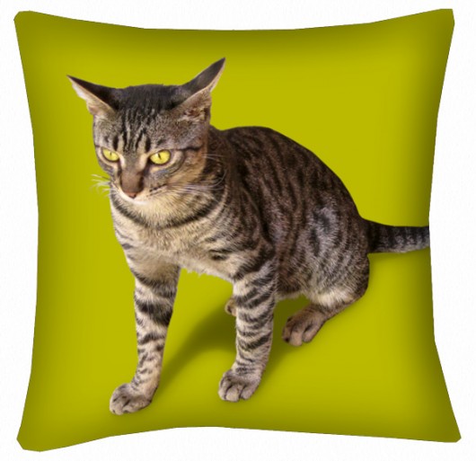 Kot z Krety rodem poduszka 36cm AT design