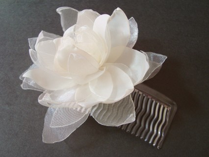 WHITE SILENCE SundayRose
