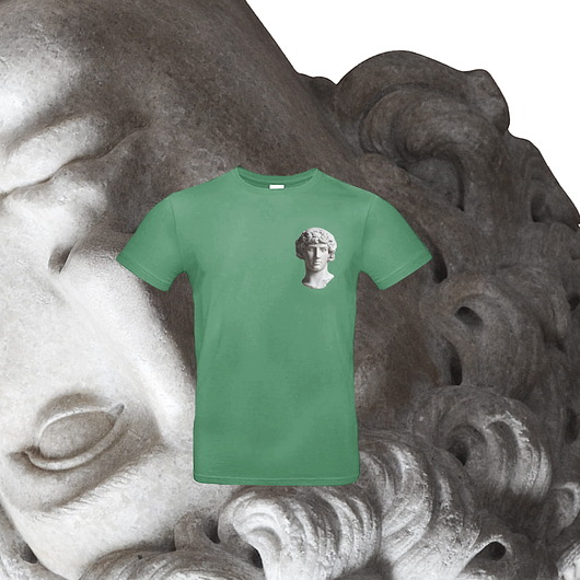 t-shirty męskie Zielona KOSZULKA męska DAVID
