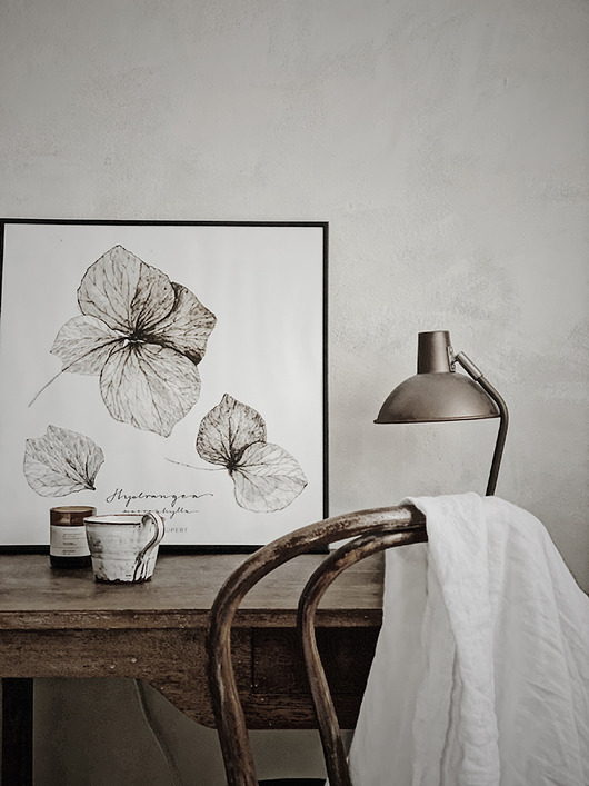 kwiat Hortensji print { 50x50 cm } Margo Hupert