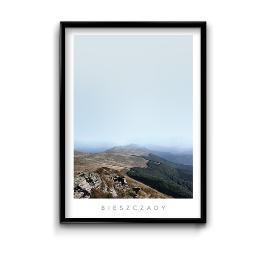 Plakat Bieszczady #1  Bury Lis