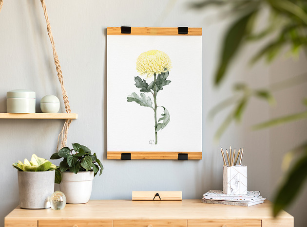 grafiki i ilustracje Żółta chryzantema, grafika, akwarela