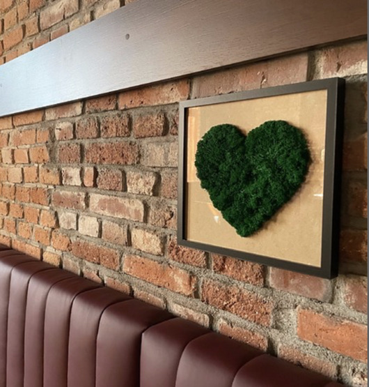 obrazy Żywy Obraz z mchu chrobotka rama 30x30