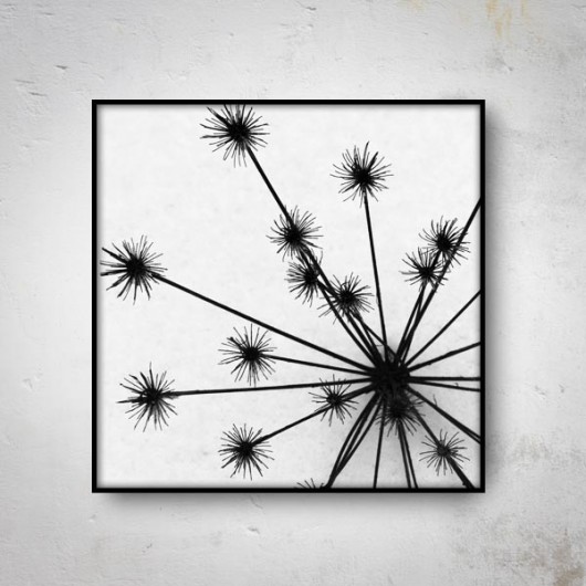 B&W III  50x50 mucca by mua